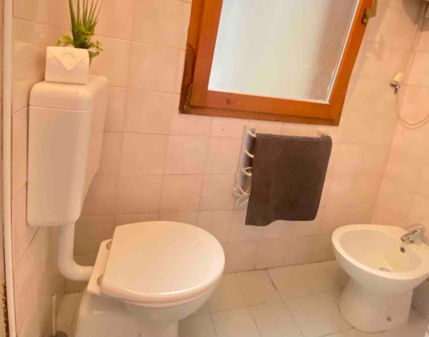 Low-Cost Teatro Romano Apartment Верона Екстериор снимка